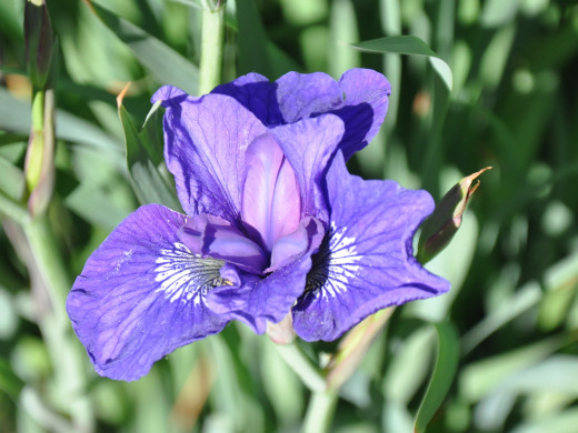 431160 (a): :1920x1440